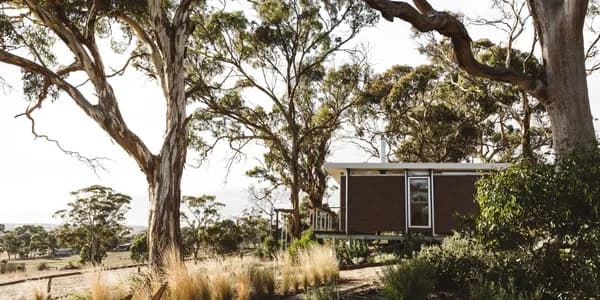 The cabin at The House On Soul Hill nestled amongst gum trees